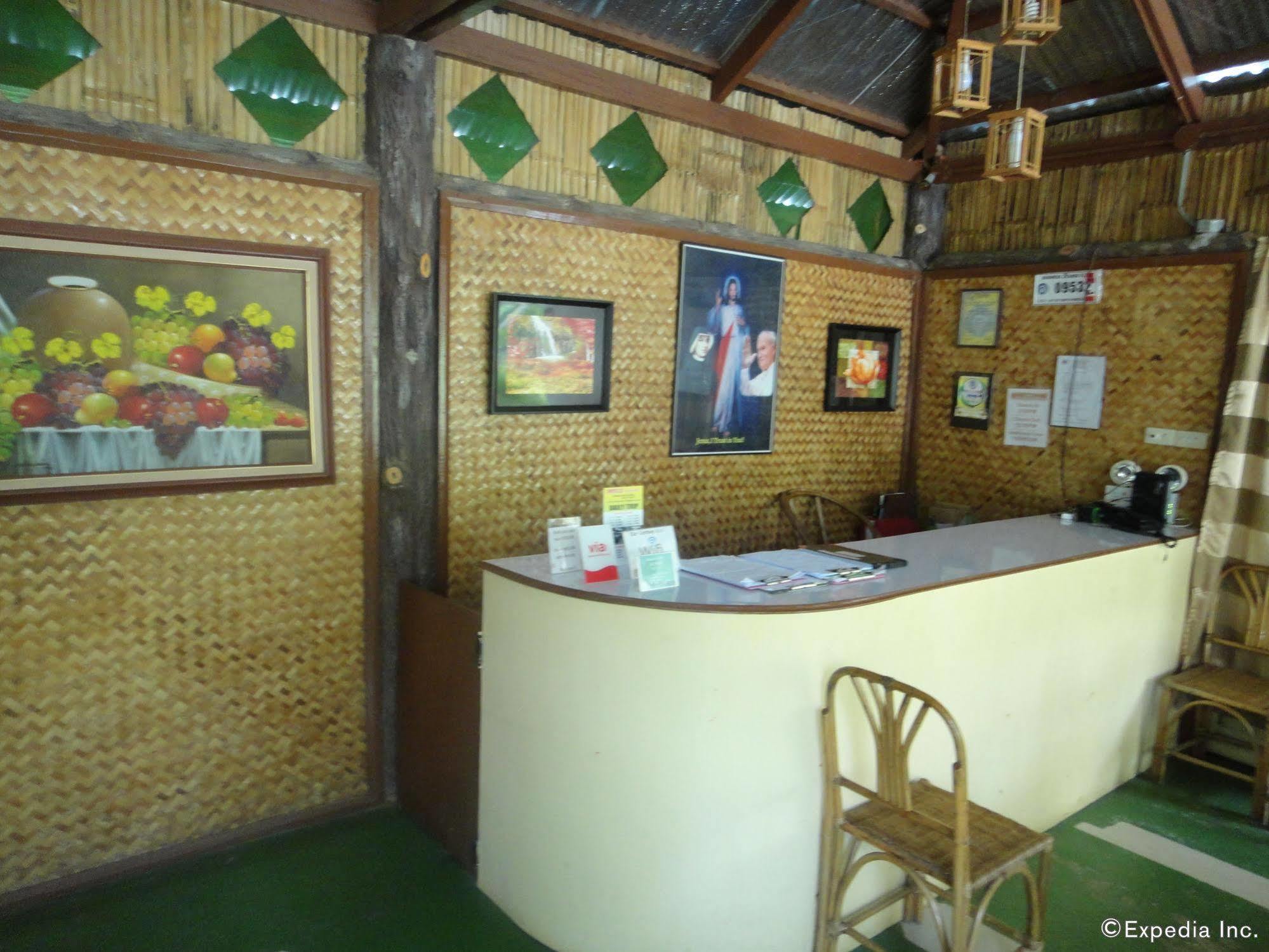 Balai Felicisima Bed & Breakfast Puerto Princesa Exterior foto