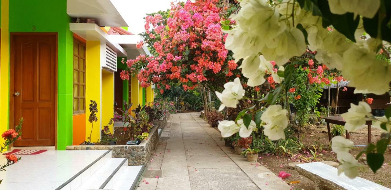 Balai Felicisima Bed & Breakfast Puerto Princesa Exterior foto